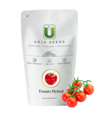 Tomato US-14529 (Semi-Determinate) 25 grams